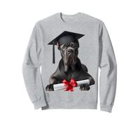 Cane Corso Dog Gratuation Cap Training School Graduado Propietario Sudadera