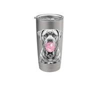 Cane Corso Dog soplando chicle rosa Vaso térmico de acero inoxidable de doble pared