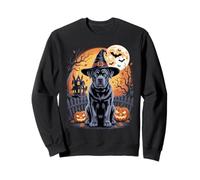 Cane Corso Halloween Miedo Perro Bruja Luna Sudadera