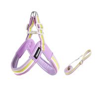 Cane Corso - Juego de arnés y correa en forma de Y, arnés ligero antitirones de 1,4 m, acolchado suave, fucsia M
