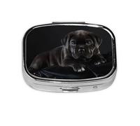 Cane Corso Mascotas Cachorro Cane Corso Negro, Pastillero cuadrado para bolsillo o monedero, pequeño contenedor de pastillas, organizador de pastillas de viaje