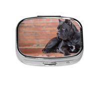 Cane Corso Perros Grandes Negros Mascotas, Pastillero cuadrado para bolsillo o monedero, pequeño contenedor de pastillas, organizador de pastillas de viaje