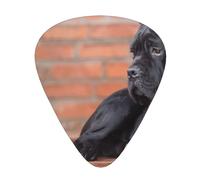 Cane Corso, perros negros grandes, mascotas,12 púas de guitarra, 3 grosores diferentes para guitarra acústica, bajo y ukelele