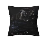 Cane Corso Pets Puppy Black Cane Corso, funda de almohada con cremallera oculta, funda de cojín de poliéster, funda de almohada decorativa con impresión de doble cara