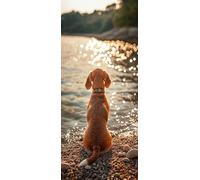 Cane Dipingere con i Numeri Adulti, Misura XXL 60x180cm,Spiaggia Paint by Numbers Kit Principianti Con 3 Penne, Kit Fai Da Te, Hobby Creativi Adulti Regalo Donna Decorazioni, (Senza Cornice) P0M-943
