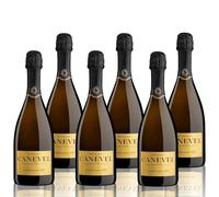 CANEVEL "IL MILLESIMATO" 2024 | Valdobbiadene Prosecco Superiore DOCG Millesimato Extra Dry | 6x750 ml | caja de 6 botellas