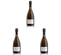 CANEVEL "SETÀGE BRUT" 2023 | Valdobbiadene Prosecco Superiore DOCG | 750 ml | 1 botella (Paquete de 3)