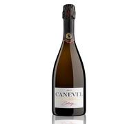 CANEVEL "SETÀGE BRUT" 2023 | Valdobbiadene Prosecco Superiore DOCG | 750 ml | 1 botella (Paquete de 6)