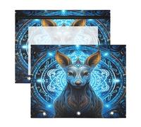 Canguro De Luz Azul De Lujo Estuches para Lápices Transparentes para Archivador de 3 Anillas(2 Pack)