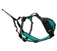 CANI C GEAR, Arnés, Modelo SYMBIOZ, Color Negro/Turquesa, Forro de Neopreno antiirritaciones, Uso Deportivo con Correas extraíbles, Garantía de por Vida, M