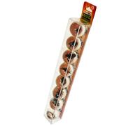 Canicas de insectos Geoworld de Safari Ltd. - Juego de 8 canicas de 2,5 cm con espec menes de insectos reales