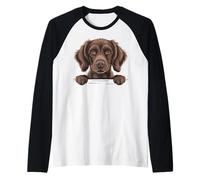 Caniche Boykin Spaniel, Divertido Perro LBD Que se asoma al pantano Camiseta Manga Raglan