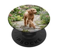 Caniche Caminando Jardín Camino Floral Floración Escena al Aire Libre PopSockets PopGrip Adhesivo