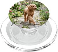 Caniche Caminando Jardín Camino Floral Floración Escena al Aire Libre PopSockets PopGrip para MagSafe