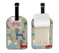 Caniche colorido de dibujos animados divertidos,Etiquetas de equipaje de cuero sintético con nombre, etiquetas de viaje duraderas, 2 unidades