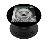Caniche Hay Movimiento en tu Puerta Principal Perro Tonto PopSockets PopGrip Adhesivo