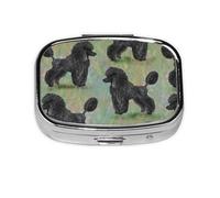 Caniche negro sobre pasteles, Pastillero cuadrado para bolsillo o monedero, pequeño contenedor de pastillas, organizador de pastillas de viaje