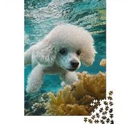 Caniche Puzzles Imposible,desafío for Adults Juego EduGatoivo 1000 Piezas Obra De Arte De Juego De para Adultos Y Niños A Partir De 12 Años 1000pcs (75x50cm)