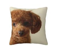 Caniche Toy Negro, Funda de Almohada Decorativa de poliéster, Suave y esponjosa. 45x45cm