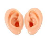 CANIGHT 2 Piezas De Modelos De Simulación De Oído Accesorios De Exhibición De Auriculares Canal Auditivo Preciso Para Práctica Y Enseñanza