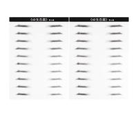 CANIGHT 2hojas Parches De Cejas Impermeables De Simulación Realista Para Hombres Cejas Artificiales Fáciles De Usar