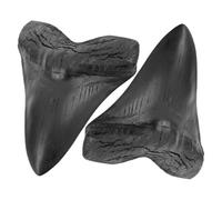 CANIGHT Réplicas de Dientes de Megalodon en Resina Negra, 2 Piezas Detalladas para Adorno Artesanal en Casa u Oficina