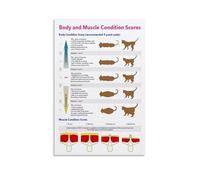Canine and Feline Body Condition Score Poster - Muscle and Fat Assessment Chart - Professional Veterinary Tool for Dog & Cat Breeders, Groomers(Unframed,08x12inch(20x30cm))