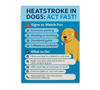 Canine Body Temperature Chart Poster Prevent Heat Stroke Symptoms Canvas Home Decor Wall Hanging(Framed,16x24inch(40x60cm))