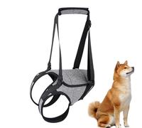 Canine Mobility Support Harness - Rear Leg Lift Belt, Walking Aid Strap | Comfortable Dog Harness with Handle for Injury Recovery, Senior Pets Assistance and Weak Back Legs Support