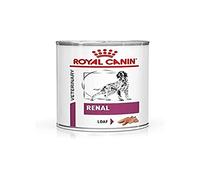 Canine RENAL 12X410 GR