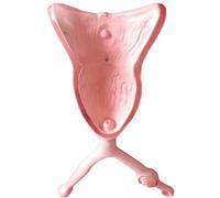 Canine Uterus Ovary Bladder Anatomy Model Veterinary Biological Mold for Animal Medicine Teaching Educational Demonstration Tool