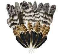 CANIPHA 40 Plumas de Pavo para Manualidades, Plumas de faisán Naturales, Plumas de Sombrero, 4 Estilos de Plumas Mixtas para Manualidades, Plumas manchadas para arreglos Florales, decoración de Bodas