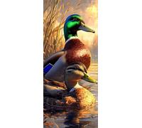 Canna Dipingere con i Numeri Adulti, Misura XXL 80x240cm,Anatra A Testa Verde Paint by Numbers Kit Principianti Con 3 Penne, Kit Fai Da Te, Hobby Creativi Adulti Decorazioni, (Senza Cornice) P0M-132