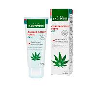 Santiveri Crema Cannabiactive Forte 60 ml