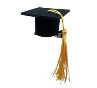 CANNXI Elegante accesorio de clip para el pelo para sombrero de graduación, fácil de usar, clip de pico de pato personalizado para entusiastas de la cabeza