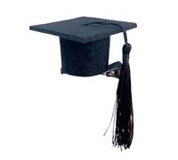 CANNXI Elegante accesorio de clip para el pelo para sombrero de graduación, fácil de usar, clip de pico de pato personalizado para entusiastas de la cabeza