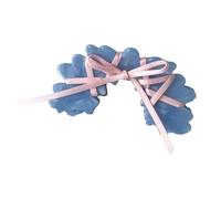 CANNXI Pinza para el pelo de acrílico versátil, estilo ballet, lazo, acetato, elegante, accesorio para el cabello para mujer