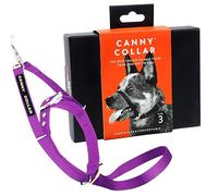 Canny Collar Antitirones De Adiestramiento para Perros - Evita Que Los Perros Tiren De La Correa, Seguro, Cómodo y Efectivo para Tu Perro