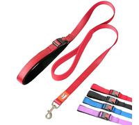 Canny Correa CONNECT Para Perros Pequeños - Mango Acolchado Suave, Resistente Hebilla Permite Atarle De Forma Rápida y Sencilla