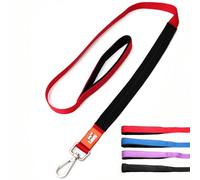 Canny Correa | Correa resistente para perro | Perfecta para perros pequeños, medianos y grandes | Correa con asa, agarre acolchado y clip seguro | Longitud 4 pies, ancho 1 pulgada, rojo
