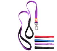 Canny Correa | Correa resistente para perro | Perfecta para perros pequeños, medianos y grandes | Correa con asa, agarre acolchado y clip seguro | Longitud 4 pies, ancho 5/8 pulgadas, morado