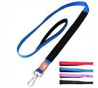 Canny Correa | Correa resistente para perro | Perfecta para perros pequeños, medianos y grandes | Correa con asa, agarre acolchado y clip seguro | Longitud 4 pies, ancho 1 pulgada, azul