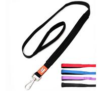 Canny Correa | Correa Resistente para Perro Perros pequeños, medianos y Grandes | Correa con asa, Agarre Acolchado y Clip Seguro | Longitud 4 pies, Ancho 1 Pulgada, Negro