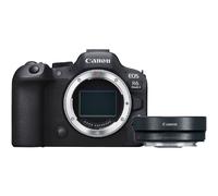 Canon EOS R6 Mark II + EF - RF adaptador de montura