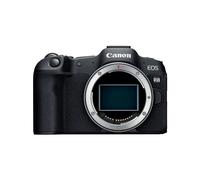 CANON EOS R8 + RF 24-50mm f/4.5-6.3 IS STM