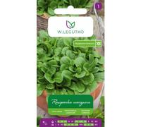 Canónigos Verte de Cambrai