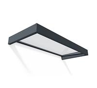 Canopia by Palram Sophia Marquesina para Puerta 215X95 cm Transparente | Toldo fijo moderno para exteriores, kit de bricolaje para casa, acrílico con protección UV, marco de metal de acero