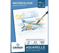 Canson 200005790 - Bloc de papel para acuarela (A3, 29.7 x 42 cm, 300 gsm), color blanco, 10 hojas