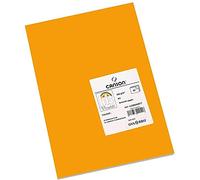 Canson 200403810 - Pack de 25 hojas de cartulina fluorescente, 50 x 65 cm, 185 g, color naranja
