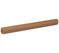 Canson Cartón ondulado, Corrugado, 300gsm, Rollo, 0,5x0,7m, Marrón